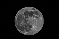 DSC06654