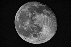 DSC07081