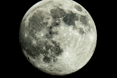DSC07230